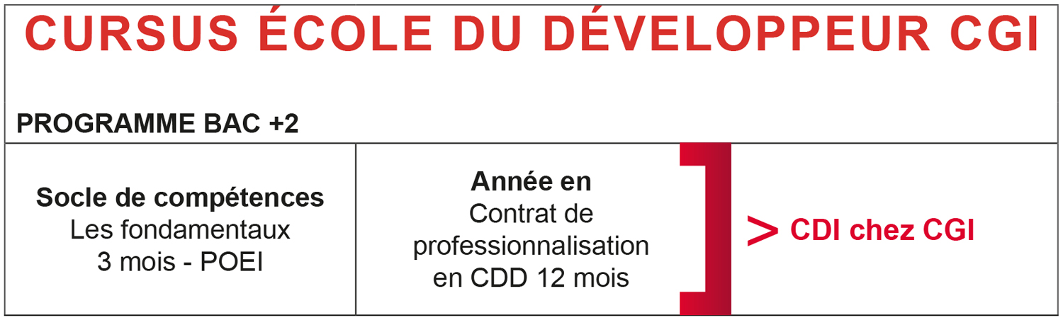 SCHEMA UDEV